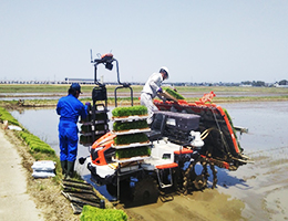 担い手の一翼を担う