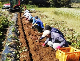 楽しく働き楽しく生きる